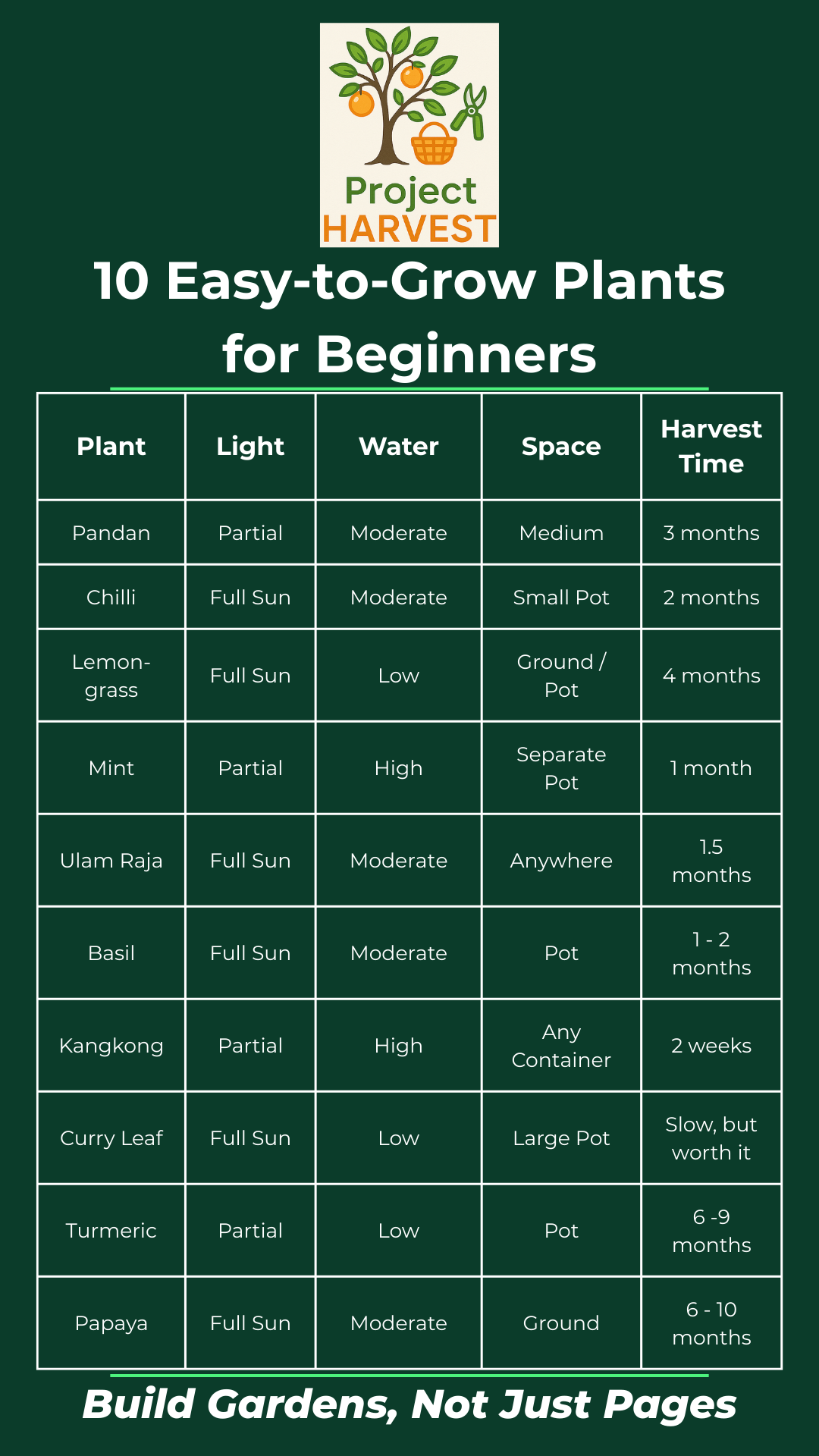 10 Easy-to-Grow Plants for Beginners