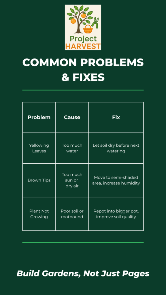 Project Harvest.my Chart Template