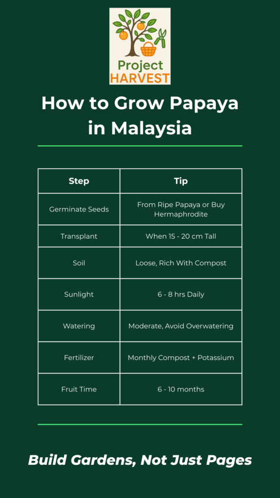 Project Harvest.my Chart Template (6)